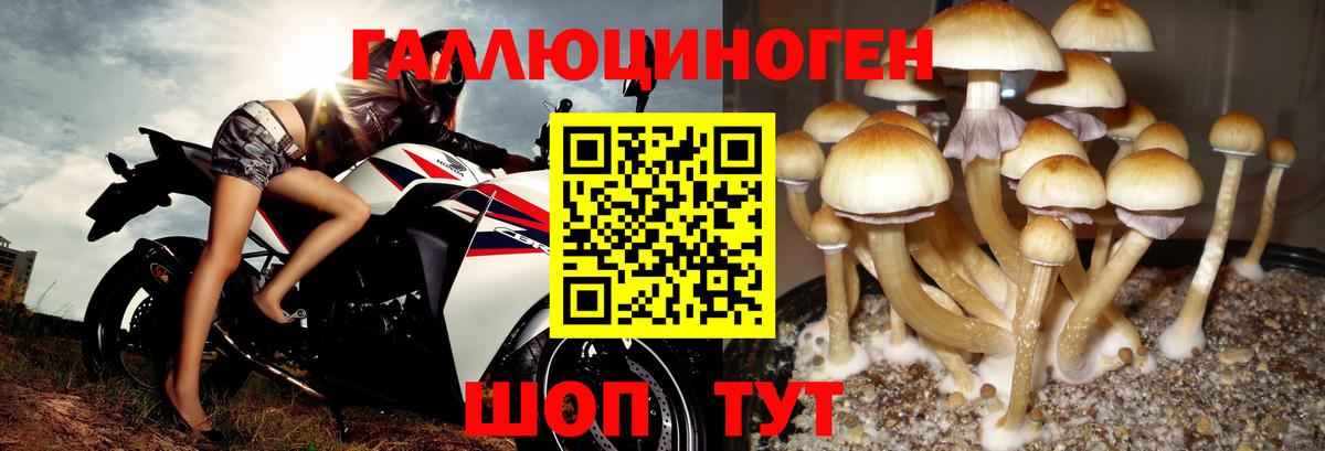 Галлюциногенные грибы прущие грибы  Псилоцибиновые грибы прущие грибы  как найти закладки  Вход с VPN  Реж 